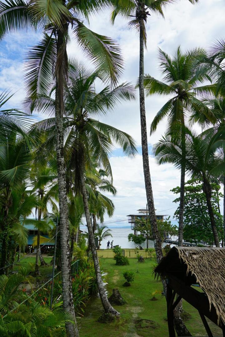 Hotel Tierra Verde Bed And Breakfast Bocas del Toro Exterior photo