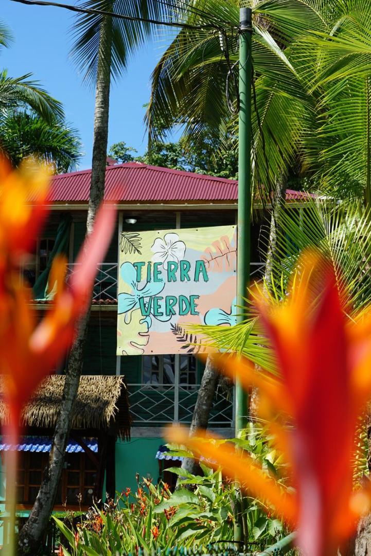 Hotel Tierra Verde Bed And Breakfast Bocas del Toro Exterior photo